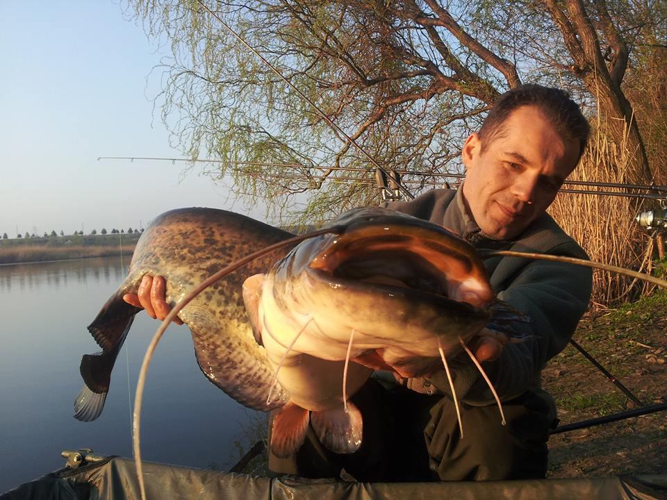 Tancabesti 28 - 29 mar. - 10154646660170244030780146671420n.jpg